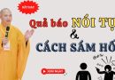 Quả Báo Nói Tục Và Cách Sám Hối L Thầy Thích Đạo Thịnh