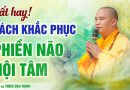Rất Hay ! Cách Khắc Phục Phiền Não Nội Tâm | Thượng Tọa Thích Đạo Thịnh