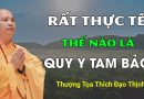 Rất Thực Tế. Thế Nào Là Quy Y Tam Bảo?| Thầy Thích Đạo Thịnh