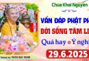 (Rất hay) Vấn Đáp Phật Pháp – Những câu hỏi thực tế đời sống tâm linh │Thầy Thích Đạo Thịnh