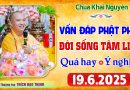 (Rất hay) Vấn Đáp Phật Pháp – Những câu hỏi vô cùng thực tế đời sống tâm linh – Thầy Thích Đạo Thịnh
