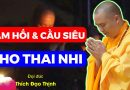 Sám Hối Và Cầu Siêu Cho Thai Nhi| Thầy Thích Đạo Thịnh