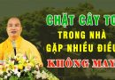 Sau Khi Chặt Cây To Trong Nhà Gặp Nhiều Điều Không May, Phải Giải Quyết Như Thế Nào?