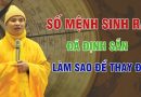 Số Mệnh Sinh Ra Đã Định Sẵn,Vậy Làm Sao Thay Đổi Được ?