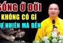 Sống Ở Đời Không Gì Tự Đến”Tất Cả Đều Do NHÂN QUẢ”Nghiệp Báo Mà Ra Nghe Để Giác Ngộ