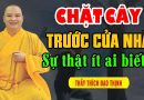 Sự Thật Ít Ai Biết ” Về Chặt Cây To Trước Cửa Nhà ” – Thầy Thích Đạo Thịnh