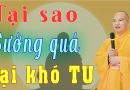 Tại Sao Sướng Quá Lại Khó Tu – Tu Để Có Trí Tuệ, Có Tầm Nhìn Xa L Thầy Thích Đạo Thịnh
