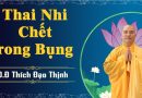 Thai Nhi Chết Trong Bụng Thì Nên Làm Gì Để Hồi Hướng  L Đ,Đ Thích Đạo Thịnh