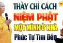 Thầy Chỉ Cách Niệm Phật Một Mình Ở Nhà Phúc Tự Tìm Đến… | Thầy Thích Đạo Thịnh (nên nghe).