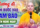 Thầy Chỉ Hướng Đi Trước Khi Bước Vào Tam Bảo, Phật Tử Nên Nghe Ngay | Thầy Thích Đạo Thịnh