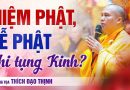 Thầy Đạo Thịnh Hướng Dẫn Cách Niệm Phật Lễ Phật Khi Tụng Kinh Pháp Hoa | Thượng Tọa Thích Đạo Thịnh