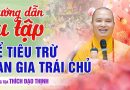 Thầy Đạo Thịnh Hướng Dẫn Tu Tập Tại Gia Để Tiêu Trừ Oan Gia Trái Chủ | Thượng Tọa Thích Đạo Thịnh