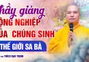 Thầy Giảng Cộng Nghiệp Của Chúng Sinh Ở Thế Giới Sa Bà | Thầy Thích Đạo Thịnh
