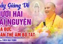 Thầy Giảng Về 12 Đại Nguyện Của Đức Quán Thế Âm Bồ Tát| Thầy Thích Đạo Thịnh
