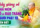 Thầy Giảng Về Khái Niệm Tổ Và Đạo Tràng Người Phật Tử Nên Biết| Thầy Thích Đạo Thịnh