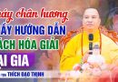Thầy Hướng Dẫn Cách Hóa Giải Khi Bị Cháy Chân Hương Tại Gia | Thầy Thích Đạo Thịnh
