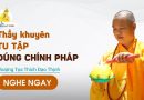 Thầy Khuyên Tu Tập Đúng Chính Pháp| Thượng Tọa Thích Đạo Thịnh