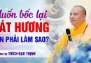 Thầy Ơi Con Muốn Bốc Lại Bát Hương Gia Tiên Con Phải Làm Sao?! | Thượng Tọa Thích Đạo Thịnh
