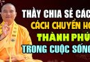 Thầy Thích Đạo Thịnh Chia Sẻ Cách Chuyển Họa Thành Phúc Trong Cuộc Sống | Nghe pháp Thầy Đạo Thịnh