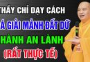 Thầy chỉ dạy cách hoá giải mảnh đất dữ thành an lành – Thầy Thích Đạo Thịnh