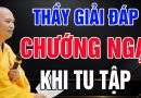 Thầy giải đáp về chướng ngại khi tu tập – Thầy Thích Đạo Thịnh