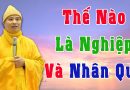 Thế Nào Là Nghiệp Và Nhân Quả L Đ.Đ Thích Đạo Thịnh