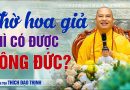 Thờ Hoa Giả Có Được Công Đức Không? | Thầy Thích Đạo Thịnh