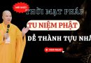 Thời Mạt Pháp Tu Niệm Phật Là Dễ Thành Tựu Nhất L Thầy Thích Đạo Thịnh