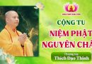 Thời khoá cộng tu “NIỆM PHẬT NGUYÊN CHẤT” tại chùa Khai Nguyên │Thầy Thích Đạo Thịnh