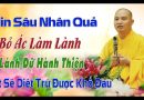 Tin Sâu Nhân Quả Bỏ Ác Làm Lành  Lánh Dữ Hành Thiện Tất Sẽ Diệt Trừ Được Khổ Đau.Đ.Đ Thích Đạo Thịnh