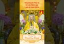 “Tin sâu Nhân quả Lánh dữ hành thiện” – Thầy Thích Đạo Thịnh #shorts