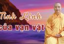 Tính Linh Của Vạn Vật Và Sự Luân Hồi Lục Đạol Đ.Đ Thích Đạo Thịnh