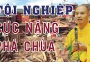 Tội Nghiệp Cực Nặng Phá Đình, Phá Chùa, Không Nhìn Lỗi Của Chư Tăng L Đ.Đ Thích Đạo Thịnh