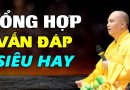 Tổng Hợp Những Câu Hỏi Vấn Đáp HAY NHẤT – Thầy Thích Đạo Thịnh