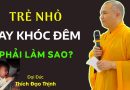 Trẻ Sơ Sinh Hay Khóc Đêm Là Do Đâu? Bố Mẹ Cần Biết Cách Để Hóa Giải| Thầy Thích Đạo Thịnh