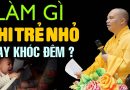 Trẻ Sơ Sinh Hay Khóc Đêm Là Do Đâu? Cách HOÁ GIẢI bố mẹ cần biết – Thầy Thích Đạo Thịnh