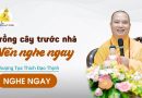 Trồng Cây Trước Nhà Nên Nghe Ngay |Thượng Tọa Thích Đạo Thịnh