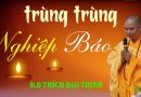Trùng Trùng Nghiệp Báo. Những Bài Khai Thị Ngắn Của – Đ-Đ Thích Đạo Thịnh