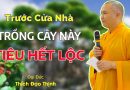 Trước Cửa Nhà Trồng Cây Này Tiêu Hết Lộc| Thầy Thích Đạo Thịnh