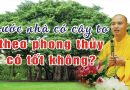 Trước Nhà Có Cây To Theo Phong Thủy Có Tốt Không? L Đ.Đ Thích Đạo Thịnh