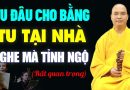 Tu Đâu Cho Bằng Tu Tại Nhà, Phật Tử Tại Gia nghe mà tỉnh ngộ | Thầy Thích Đạo Thịnh.