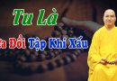 Tu Là Sửa Đổi Tập Khí Xấu L Đ.Đ Thích Đạo Thịnh