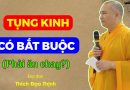 Tụng Kinh Có Bắt Buộc Phải Ăn Chay Không?| Thầy Thích Đạo Thịnh