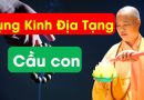 Tụng Kinh Địa Tạng Cầu Con| Thầy Thích Đạo Thịnh
