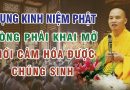 Tụng Kinh Niệm Phật Nhiều Mà Lòng Không Khai Mở Thì Chẳng Thể Cảm Hóa Được Chúng Sinh