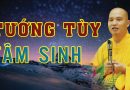 Tướng Tùy Tâm Sinh, Hóa Thân Tam Tổ Trúc Lâm, Bát Kính Pháp Của Ni Chúng, Sự Cao Quý Của Tam Bảo