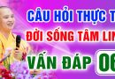 Vấn Đáp 06 – Thầy giải đáp câu hỏi thực tế đời sống tâm linh – Thầy Thích Đạo Thịnh
