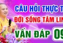 Vấn Đáp 09 – Thầy giải đáp câu hỏi thực tế đời sống tâm linh – Thầy Thích Đạo Thịnh