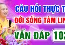 Vấn Đáp 102 – Thầy giải đáp câu hỏi thực tế đời sống tâm linh – Thầy Thích Đạo Thịnh