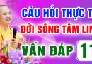 Vấn Đáp 11 – Thầy giải đáp câu hỏi thực tế đời sống tâm linh – Thầy Thích Đạo Thịnh
